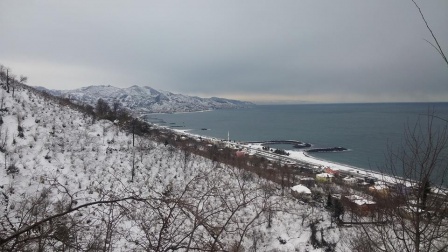 kýþ 2017