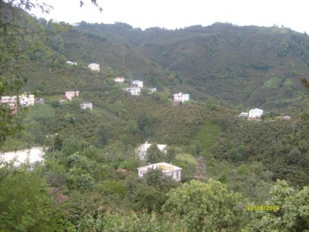 980144398-5.jpg